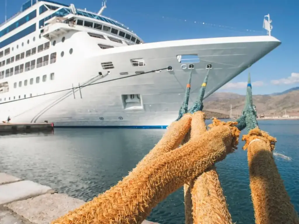 a cruise ship docked at a dock.