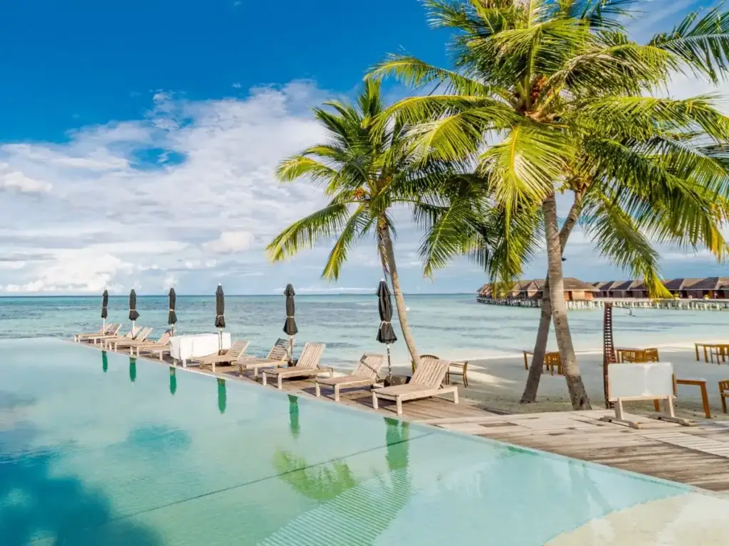 A swimming pool with lounge chairs and palm trees.