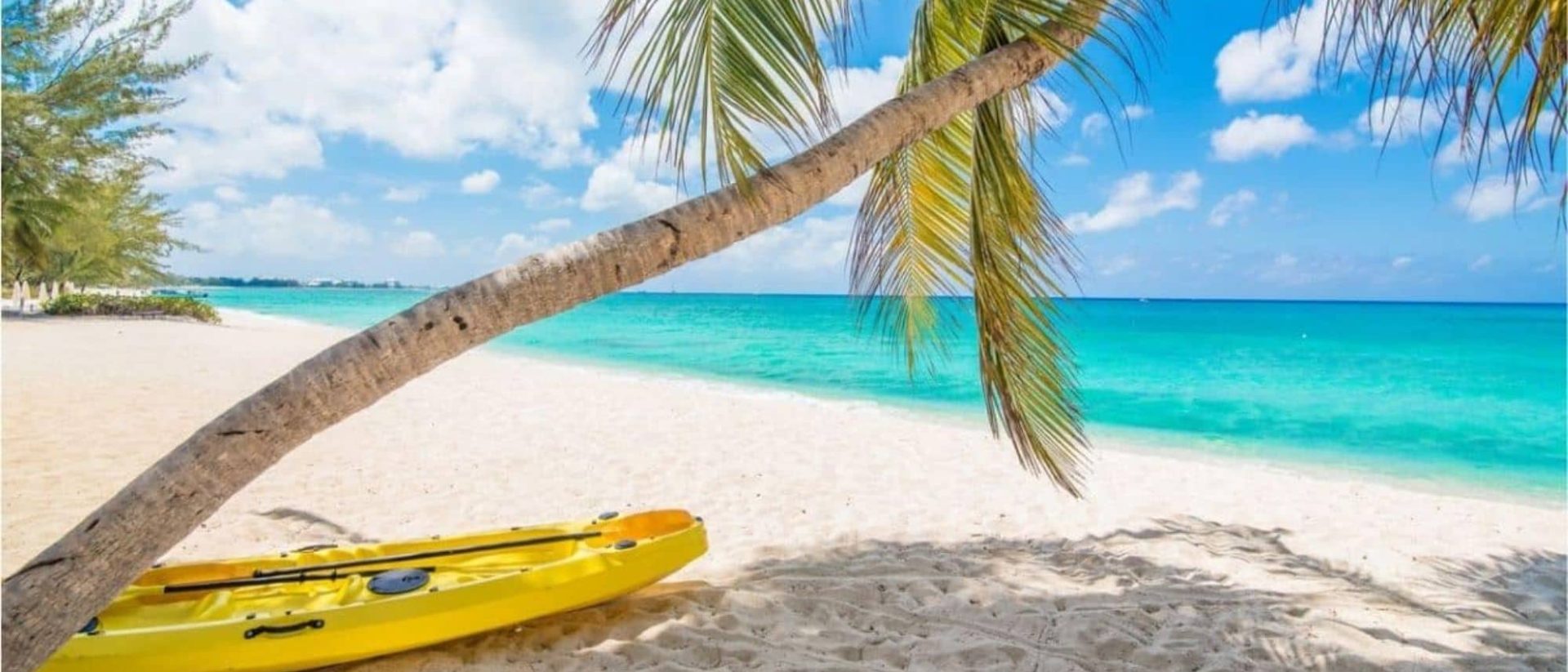 A yellow kayak sits on the sand next to a palm tree.