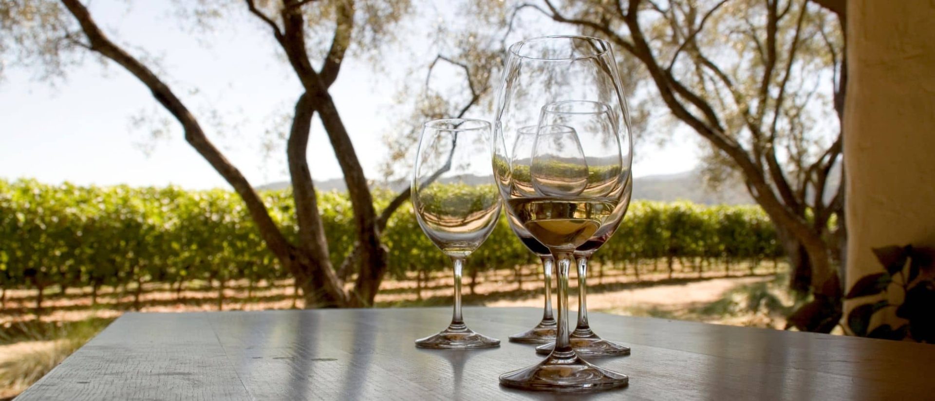Three wine glasses sitting on a table in front of trees.