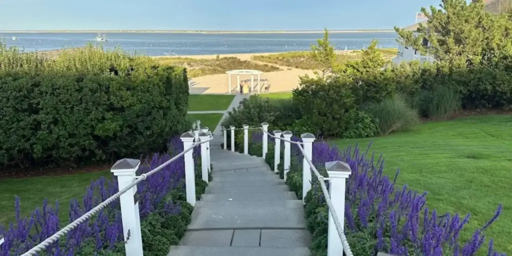A stairway leading to a beach with purple flowers.