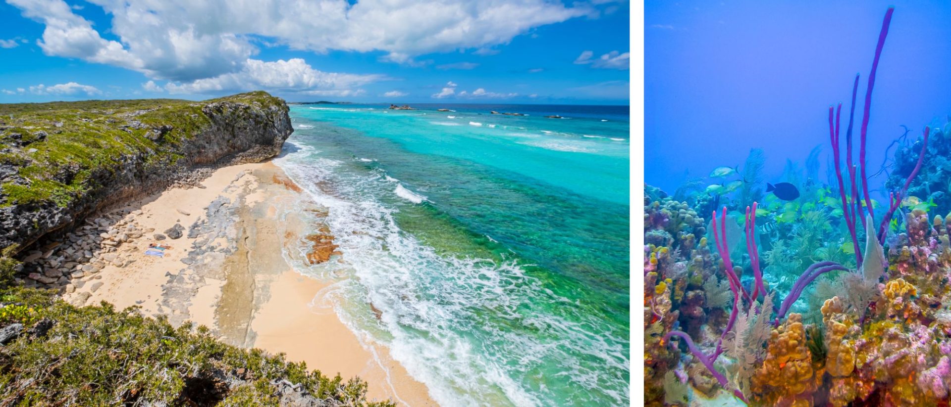 Two pictures of coral reefs and a beach.