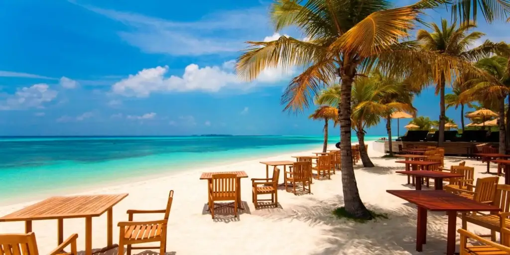 A beach with wooden tables and chairs and palm trees.
