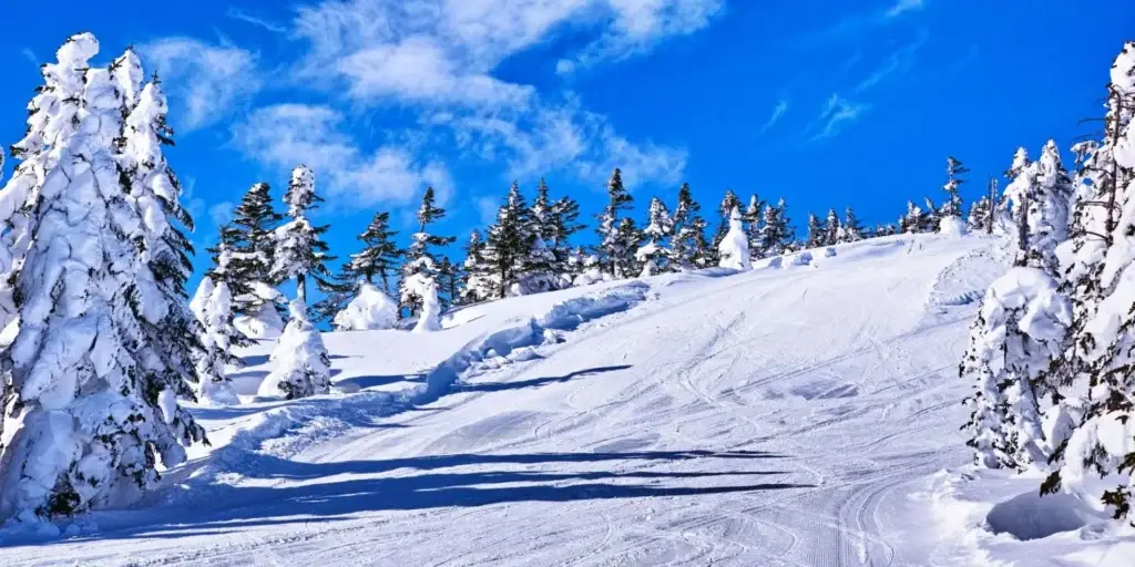 Incentive Ski - Featured Image