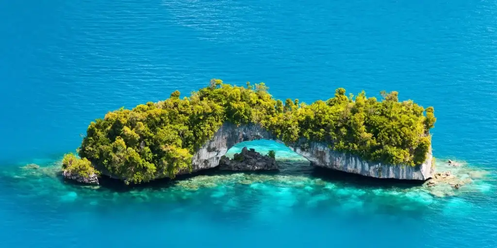 Four Seasons Explorer to Palau - Featured Image