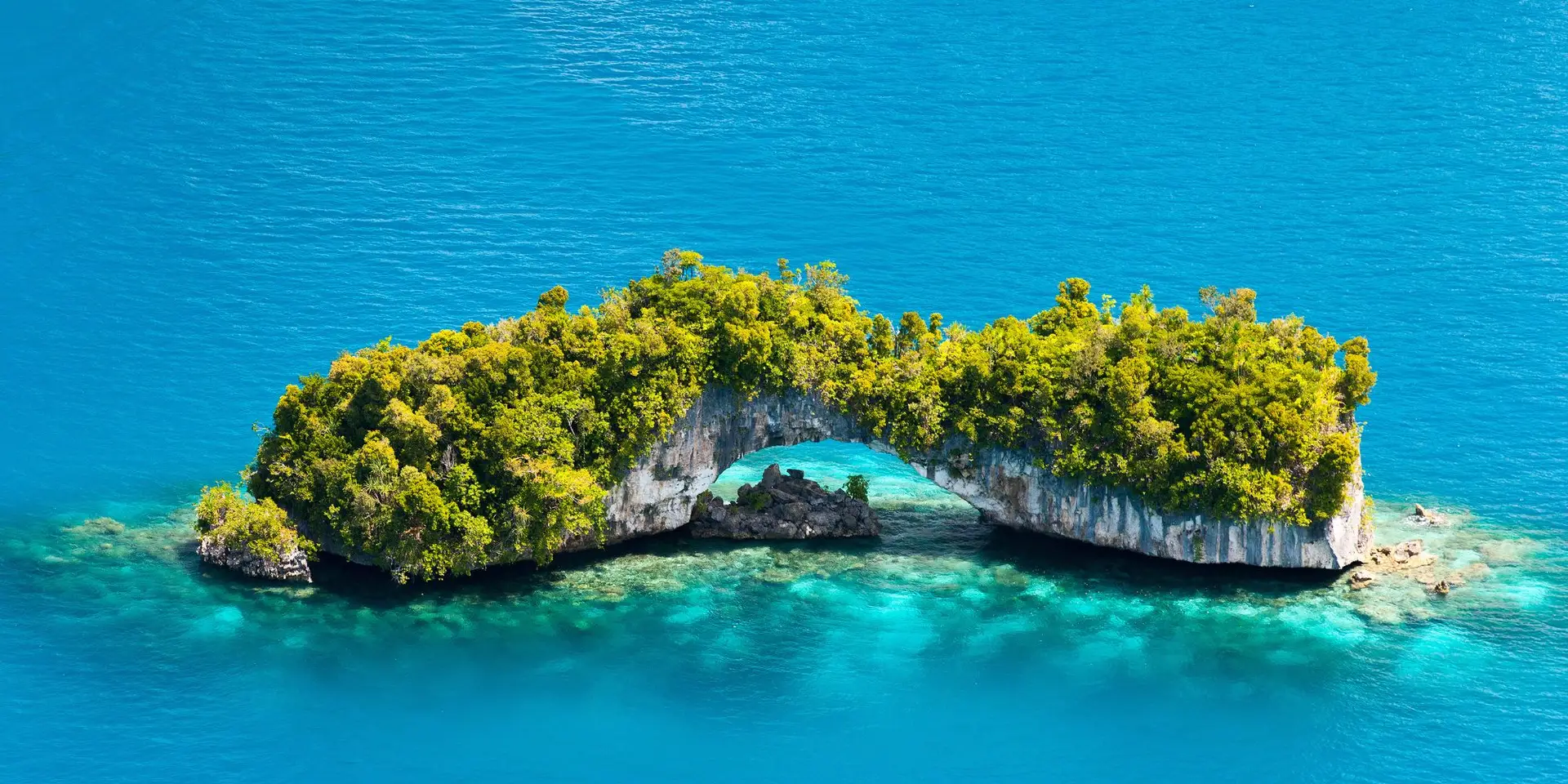 Four Seasons Explorer to Palau