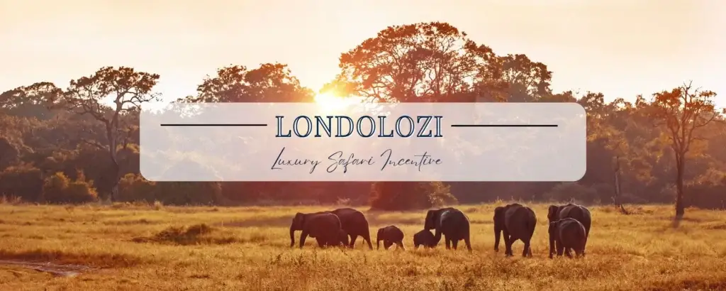 londolozi