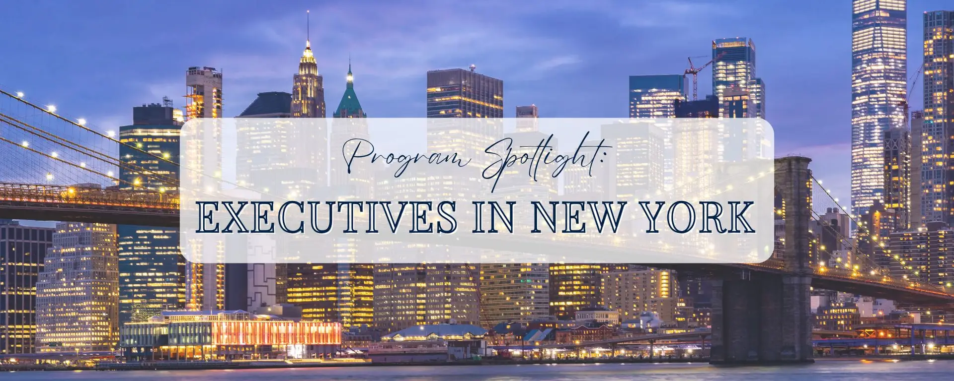 Program Spotlight: Executives in New York