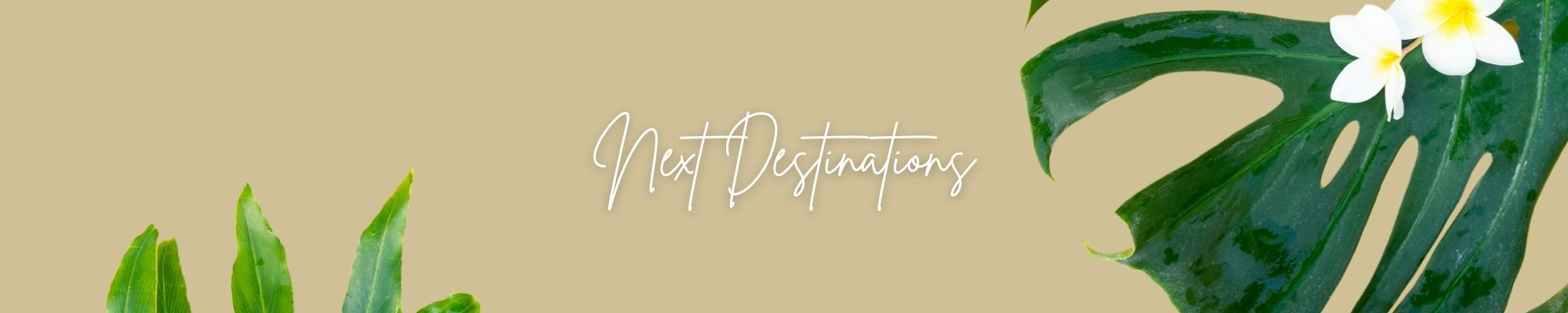 Next Destinations
